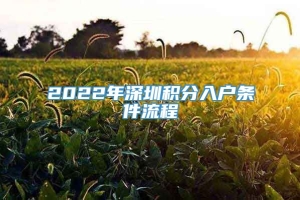 2022年深圳积分入户条件流程