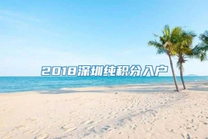 2018深圳纯积分入户