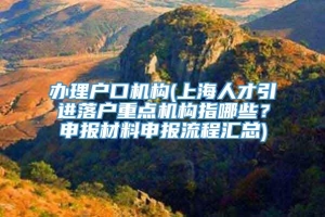 办理户口机构(上海人才引进落户重点机构指哪些？申报材料申报流程汇总)