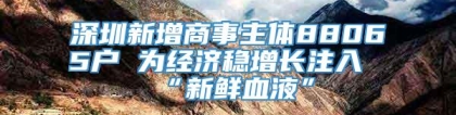 深圳新增商事主体88065户 为经济稳增长注入“新鲜血液”