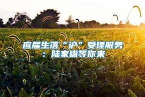 应届生落“沪”受理服务：陆家嘴等你来