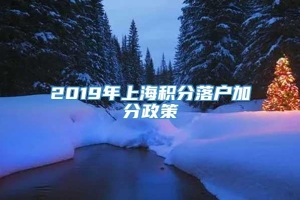 2019年上海积分落户加分政策