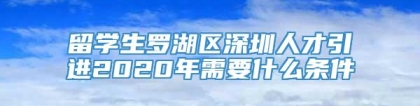 留学生罗湖区深圳人才引进2020年需要什么条件