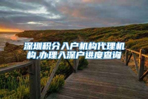 深圳积分入户机构代理机构,办理入深户进度查询