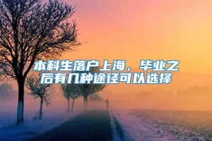 本科生落户上海，毕业之后有几种途径可以选择