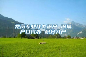 龙岗专业代办深户 深圳户口代办 积分入户