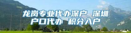 龙岗专业代办深户 深圳户口代办 积分入户