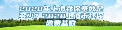 2020年上海社保基数是多少？2020上海市社保缴费基数