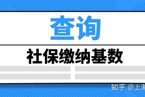 办理上海积分、落户上海，如何查询自己历年的社保缴纳基数？