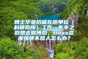 博士毕业后留在原单位（科研院所）工作一年半之后想去做博后，Boss态度强硬不放人怎么办？