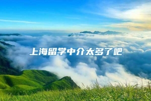 上海留学中介太多了吧