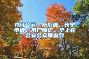 11月公示，新系统，长宁申请，落户徐汇。早上在公安公众号查到