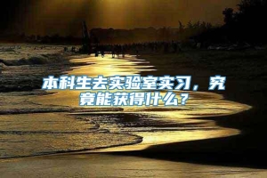 本科生去实验室实习，究竟能获得什么？