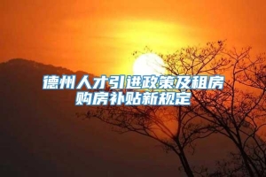 德州人才引进政策及租房购房补贴新规定