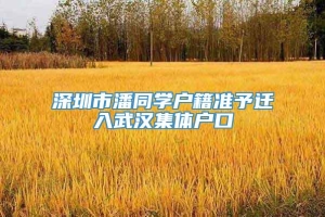 深圳市潘同学户籍准予迁入武汉集体户口