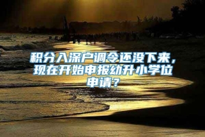 积分入深户调令还没下来，现在开始申报幼升小学位申请？