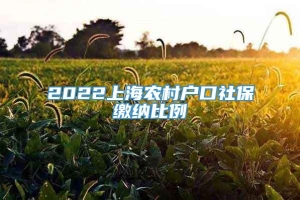 2022上海农村户口社保缴纳比例