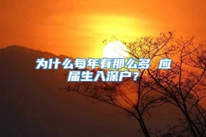 为什么每年有那么多 应届生入深户？