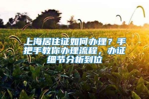 上海居住证如何办理？手把手教你办理流程，办证细节分析到位