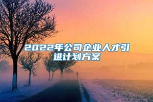 2022年公司企业人才引进计划方案