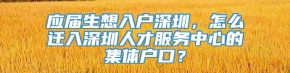 应届生想入户深圳，怎么迁入深圳人才服务中心的集体户口？