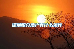 深圳积分落户有什么条件