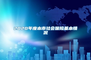 2020年度本市社会保险基本情况