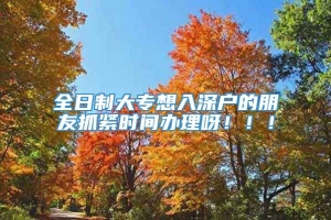 全日制大专想入深户的朋友抓紧时间办理呀！！！