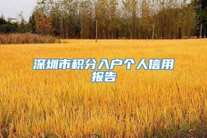 深圳市积分入户个人信用报告