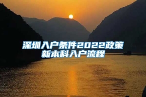 深圳入户条件2022政策新本科入户流程