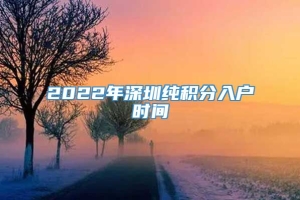 2022年深圳纯积分入户时间