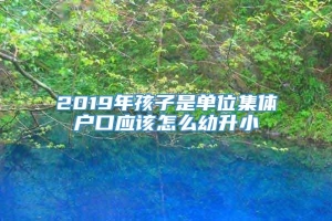 2019年孩子是单位集体户口应该怎么幼升小