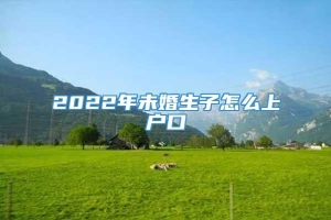 2022年未婚生子怎么上户口