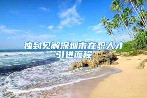 独到见解深圳市在职人才引进流程