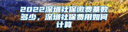 2022深圳社保缴费基数多少，深圳社保费用如何计算