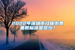 2022年深圳市社保缴费基数标准是多少？