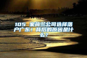 105 家荷兰公司选择落户广东！背后的原因是什么？