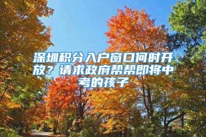 深圳积分入户窗口何时开放？请求政府帮帮即将中考的孩子