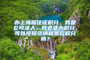 办上海居住证积分，我是公司法人，我老婆办积分，可以按投资纳税条款积分吗？