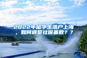 2022年留学生落户上海，如何调整社保基数？？