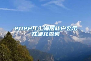 2022年上海居转户公示在哪儿查询