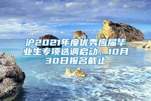 沪2021年度优秀应届毕业生专项选调启动，10月30日报名截止→