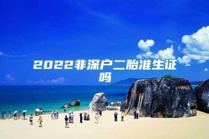 2022非深户二胎准生证吗