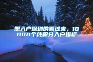 想入户深圳的看过来，10000个纯积分入户指标