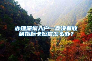 办理深圳入户一直没有收到指标卡短信怎么办？