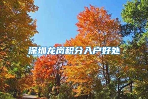 深圳龙岗积分入户好处