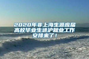 2020年非上海生源应届高校毕业生进沪就业工作安排来了！