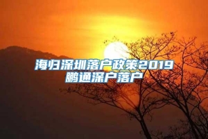 海归深圳落户政策2019鹏通深户落户