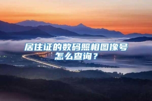 居住证的数码照相图像号怎么查询？