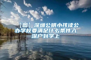 【图】深圳公明小孩读公办学校要满足什么条件入深户到学上